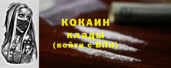 шишки Волосово
