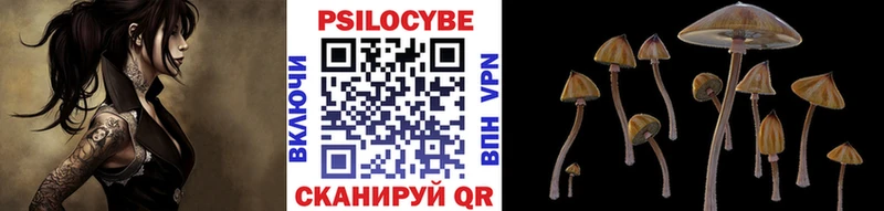Галлюциногенные грибы Magic Shrooms  Ковров 